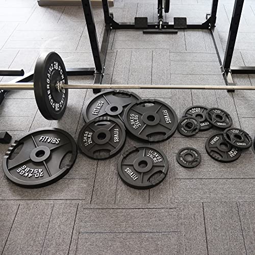 Olympic Cast Iron Weight Plates for Strength Training, Multiple Sizes S1890