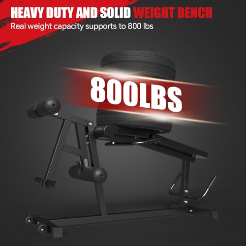 Seated Leg Extension and Lying Leg Curl Machine for Home Gym F986