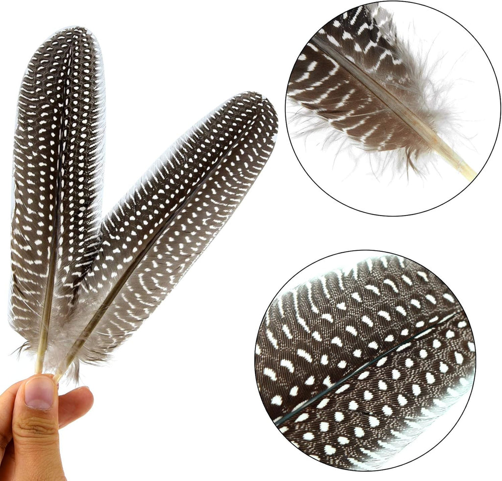 Dxhycc 50 Pcs Natural Spotted Pheasant Feathers for DIY Crafts S619667