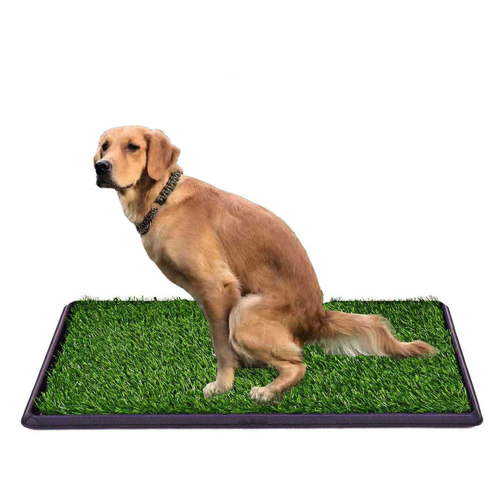 Lomantown Fake Grass Dog Potty Pad with Tray C512057