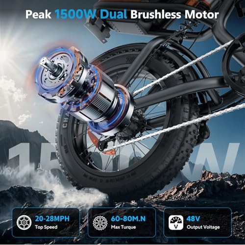 K6 Electric Bike for Adults, 20 x 4 Inch Fat Tire, 750W Motor, 48V Detachable Battery M879