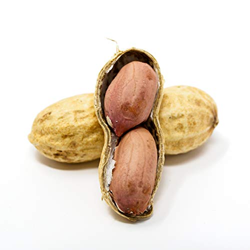 Sky Premium USA Grown Raw Peanuts in Shell for Squirrels, 2.5lb M37280