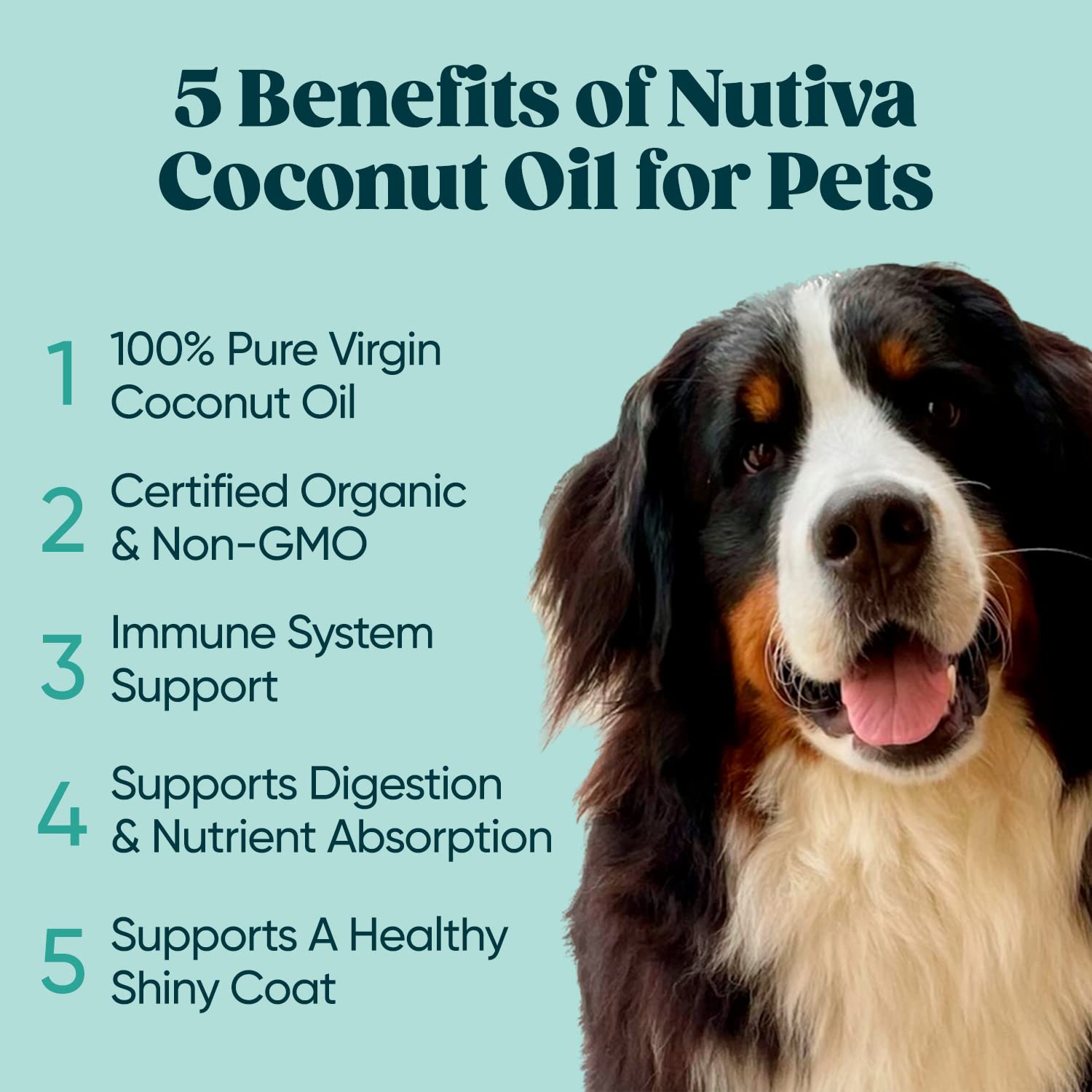 Nutiva Organic Extra Virgin Coconut Oil, Cold-Pressed, 128 fl oz F682