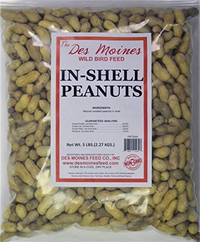 in-Shell Peanuts All Natural Wild Bird Food 5 lbs