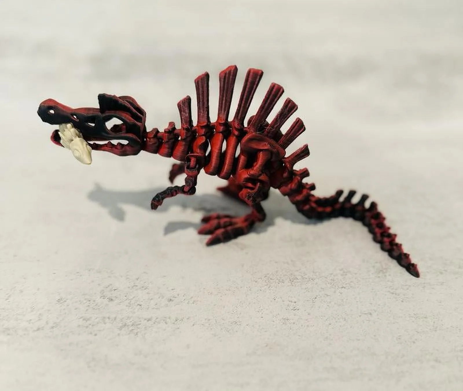 Dino Skeletons Multicolored Desk Ornament 3D Printed O59488