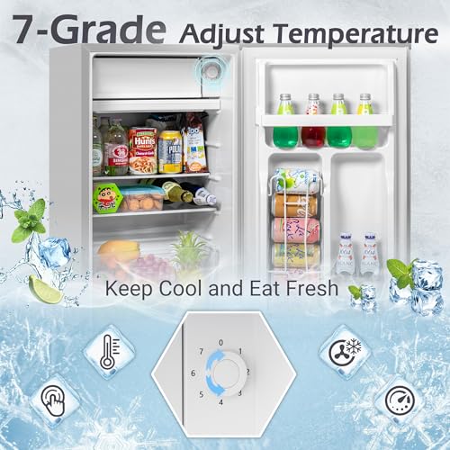 3.4 Cu.Ft Mini Fridge with Freezer, 2 Door Compact Refrigerator (Black) V995