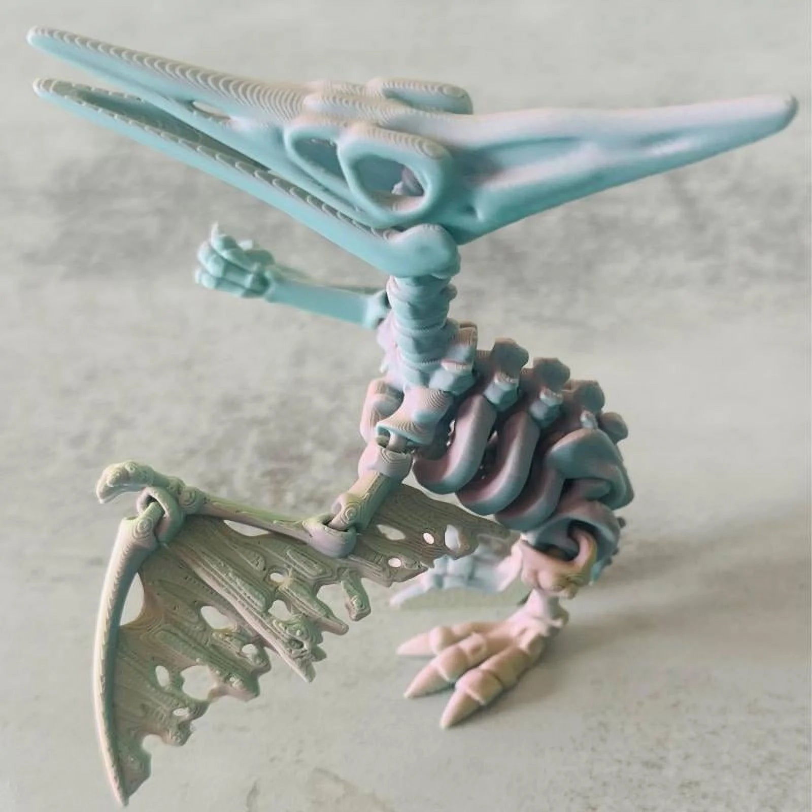 Dino Skeletons Multicolored Desk Ornament 3D Printed O59488