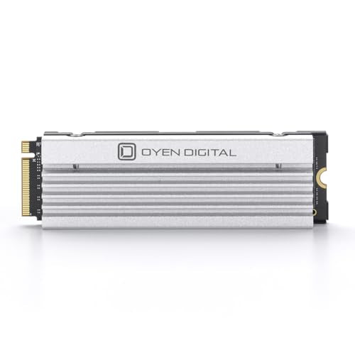 Oyen Digital Dash Pro 4TB NVMe SSD with Heatsink for PS5 J101977