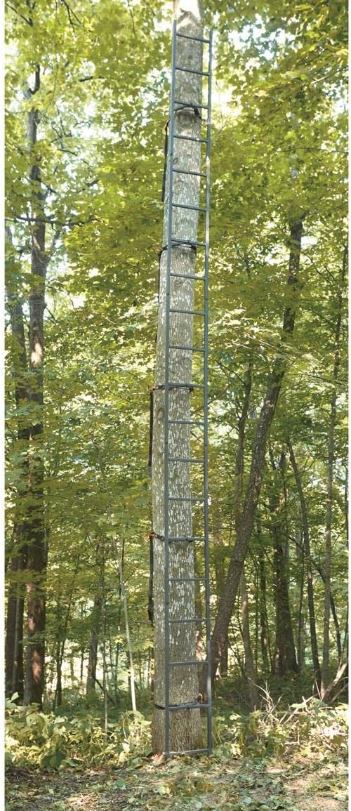 Guide Gear 20' Wide Maxi Tree Stand Ladder for Hunting V76057