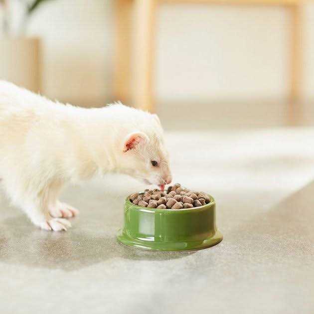 Mazuri Ferret Diet O570483