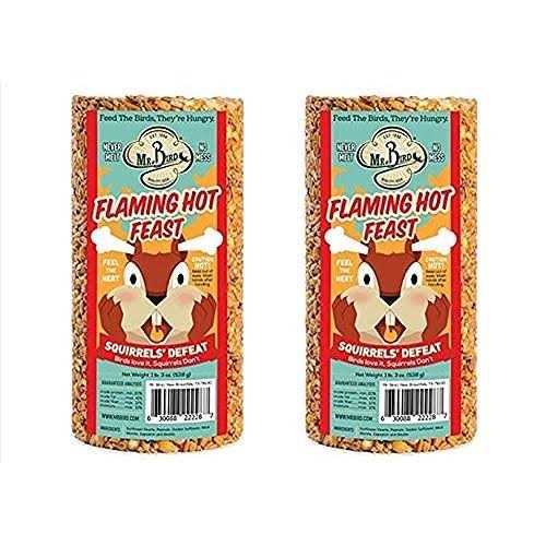 Mr. Bird Flaming Hot Feast Small Cylinder - Pet Supplies online store