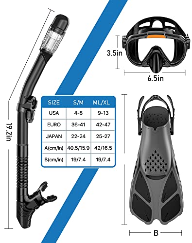 Snorkeling Gear Set for Adults with Diving Mask, Dry Top Snorkel, Fins and Travel Bag Q866