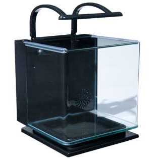Marineland Contour 5 Gallon Kit D789693