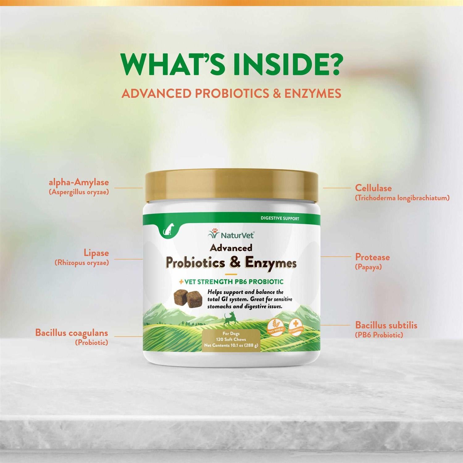 NaturVet Advanced Probiotics Enzymes for Pets R9807