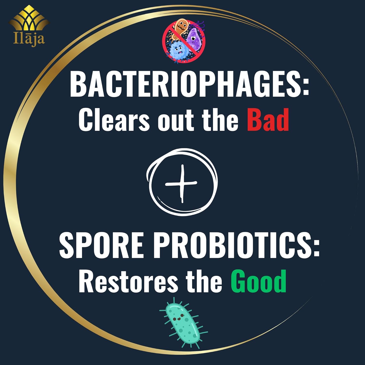 Spore Supreme Spore Based Probiotic 120 Capsules + PreforPro Prebiotic K2903
