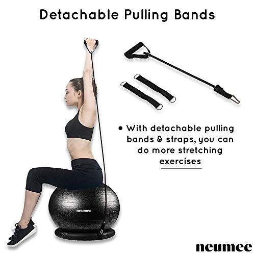 Exercise Ball Chair with Resistance Bands, 65 cm K558
