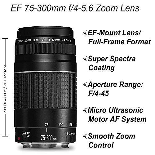 Canon EOS 2000D / Rebel T7 DSLR Camera with 18-55mm & 75-300mm Lenses, 64GB Card, Tripod, Case (Renewed) V912