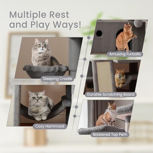 SHA CERLIN 65in Cat Tree Tower for Indoor Cats, Multi-Level with Scratching Posts and Hammock Y941282