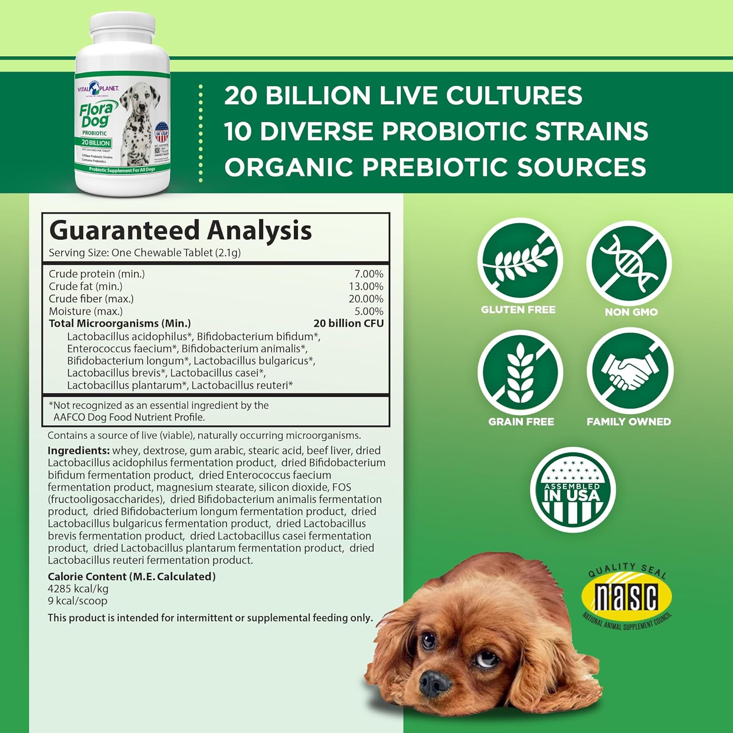 Vital Planet Flora Dog Probiotic Chewable Tablets, 30 Beef Flavored M70738