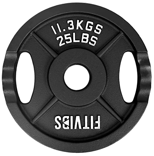 Olympic Cast Iron Weight Plates for Strength Training, Multiple Sizes S1890