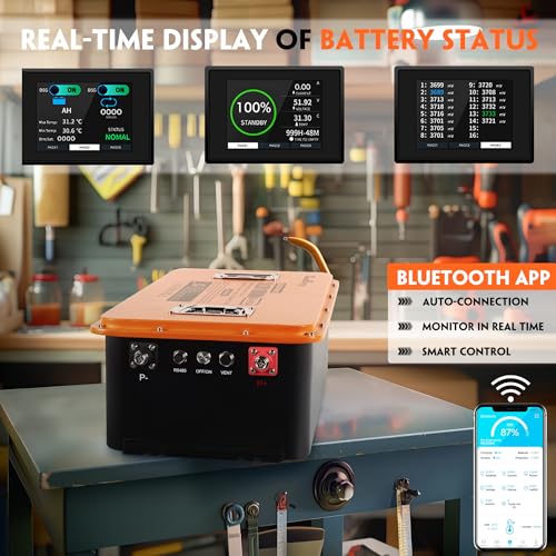 48V 51.2V LiFePO4 Golf Cart Battery with 200A BMS, Mobile APP, Touch Monitor R508