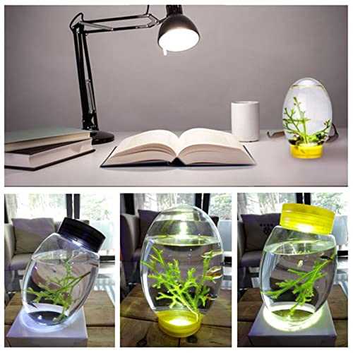 Mini Ecological Fish Tank with LED Base, Desktop Aquarium, Black Y7006