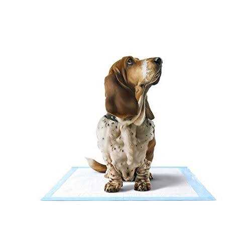 Medline Disposable Chucks Pads 23 x 36 inches Ultra-Light Absorbency J473895