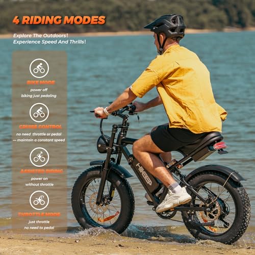 K6 Electric Bike for Adults, 20 x 4 Inch Fat Tire, 750W Motor, 48V Detachable Battery M879