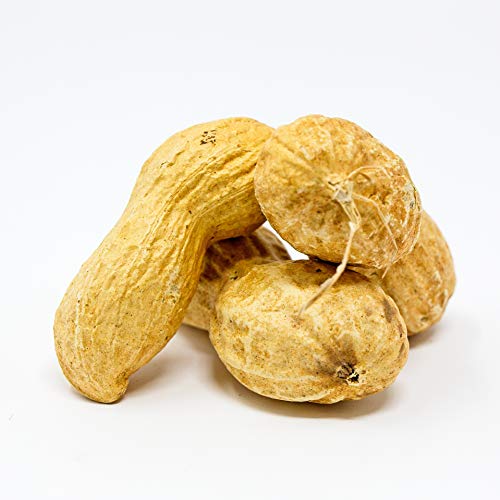 Sky Premium USA Grown Raw Peanuts in Shell for Squirrels, 2.5lb M37280