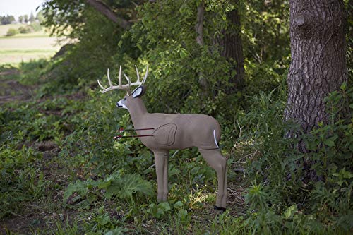 3D Deer Archery Target Shooter Buck M38585