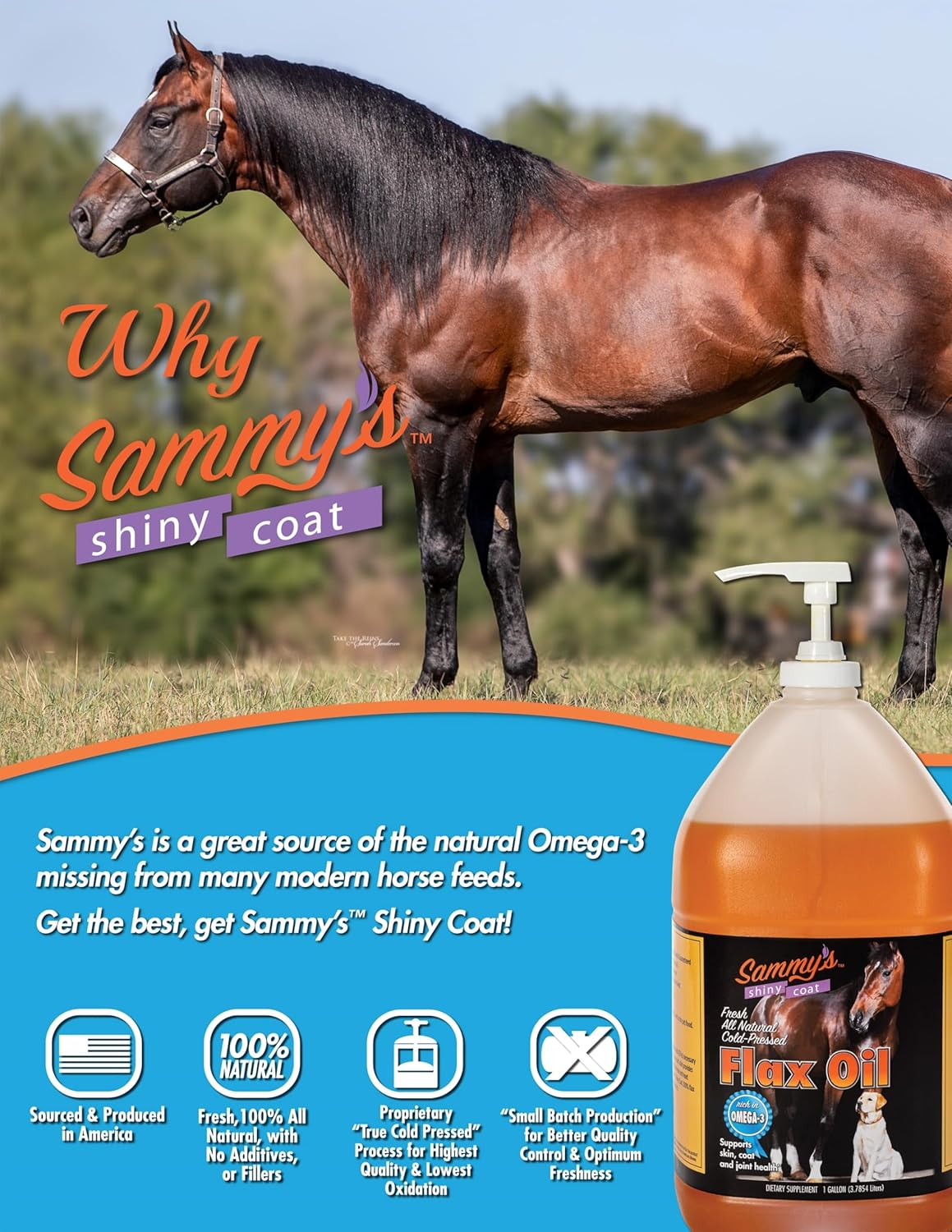 Sammy's Shiny Coat Flax Oil for Horses, Pure Flaxseed Oil Supplement, 1 Gallon Y260843