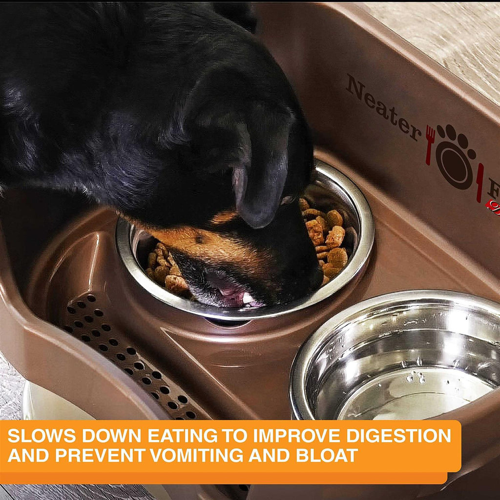 Stainless Steel Slow Feed Bowl by Neater Pet Brands Z6342