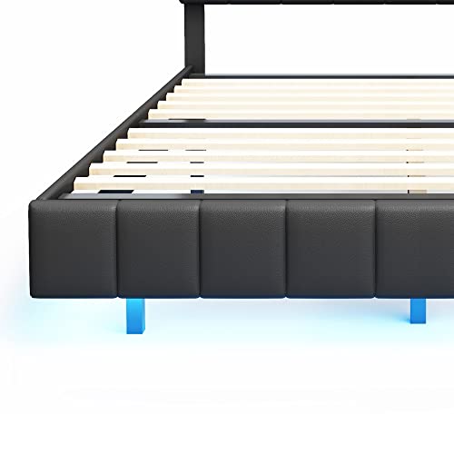 Queen Size LED Lighted Upholstered Platform Bed Frame with USB Charging, Black N957