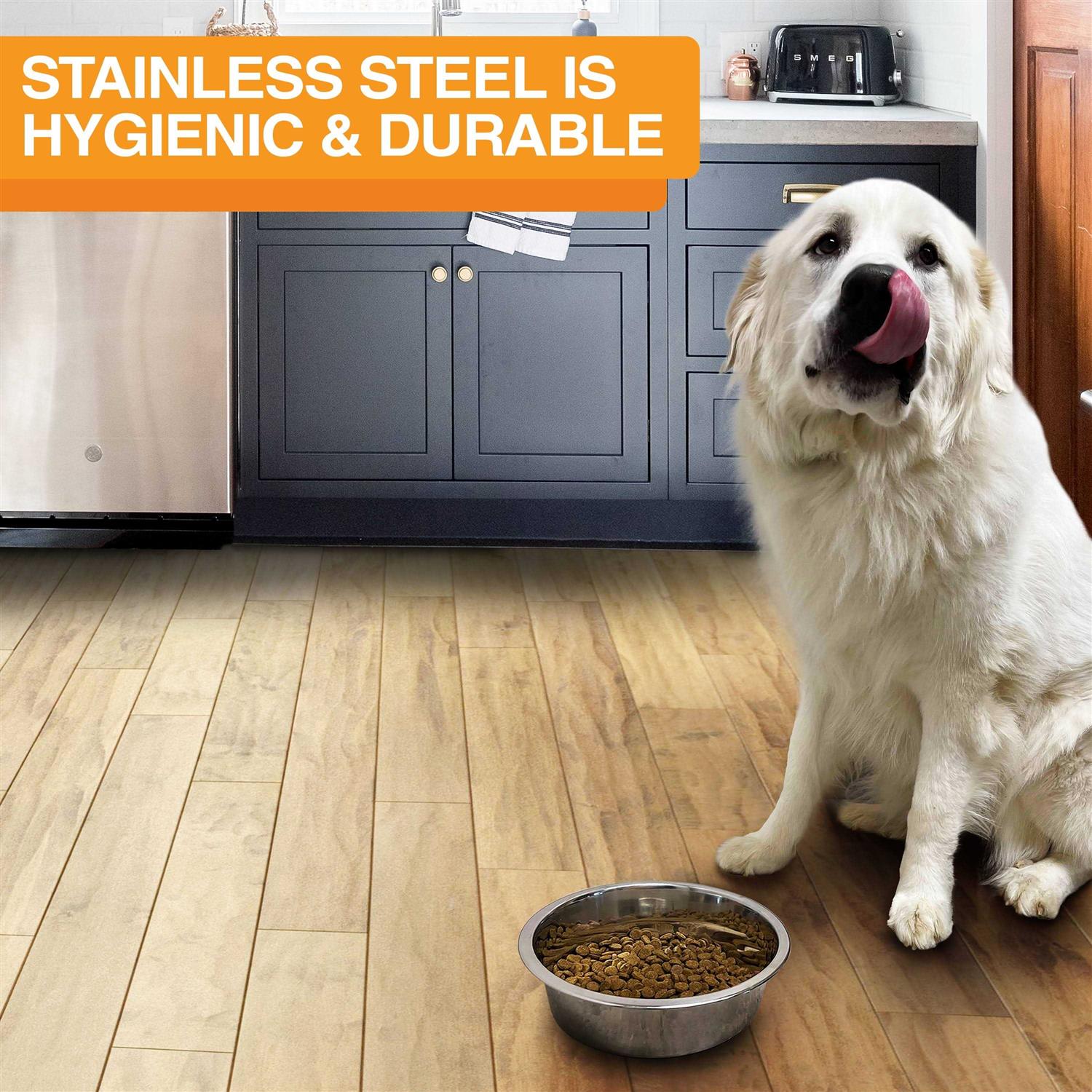 Neater Pet Brands Stainless Steel Replacement Bowl for Neater Feeder Deluxe F8687