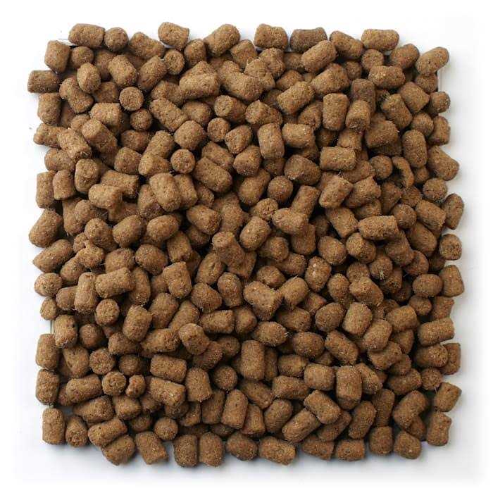 Mazuri Ferret Diet O570483