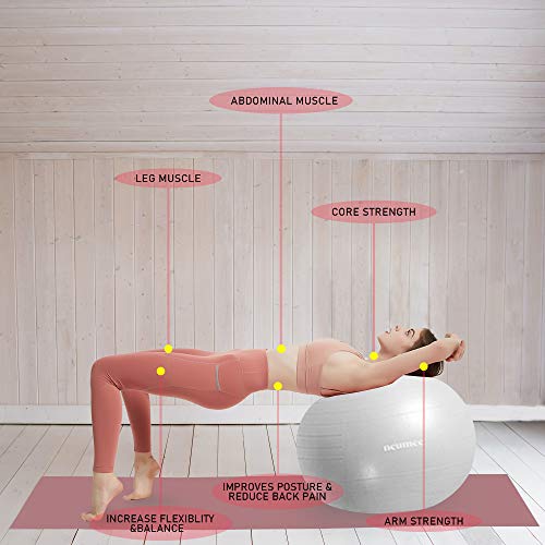 Exercise Ball Chair with Resistance Bands, 65 cm K558