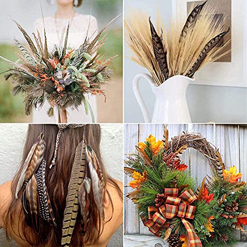 Flying Feathers Natural Pheasant Feathers 12pcs for DIY Craft Decor V9204