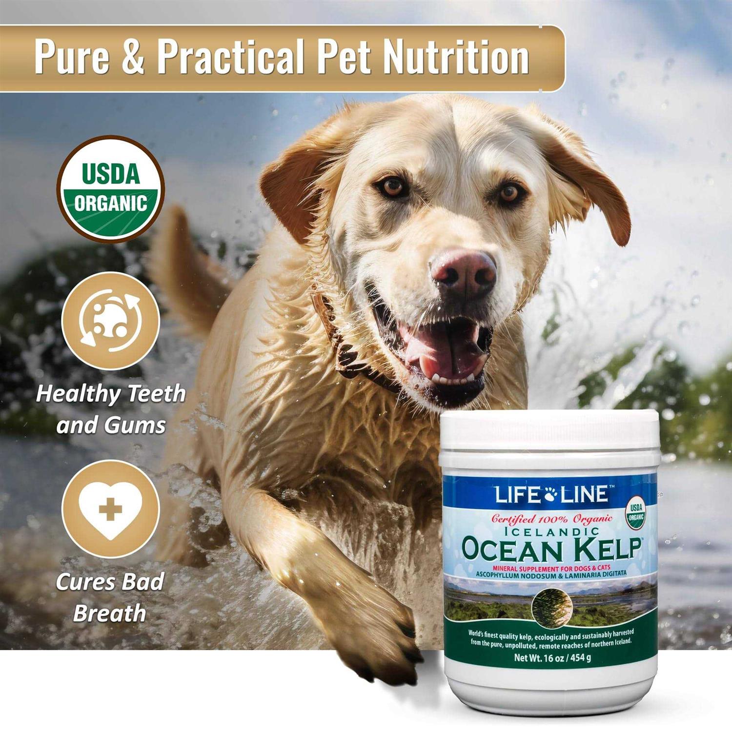 Life Line Ocean Kelp Dog & Cat Supplement S47444
