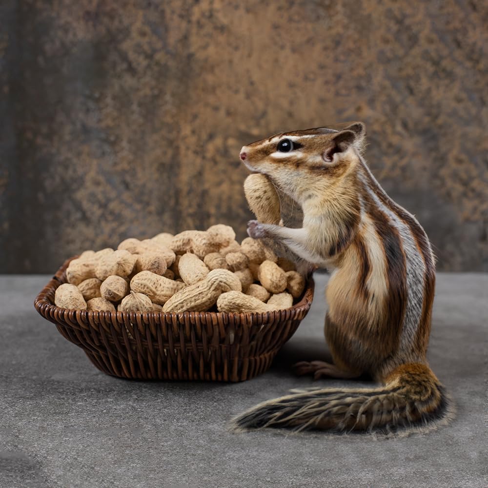 Naturalee Peanuts In Shell 2 lbs - Raw Unsalted Q740