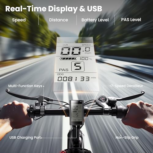 CycFree Electric Bike for Adults, 1000W Peak Motor, 48V 15.6Ah Removable Battery, 20" Fat Tire Step-Thru E21109