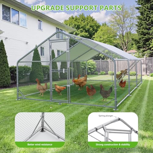 Large Chicken Coop Metal Walk-in Pen with Anti-UV Cover M6976
