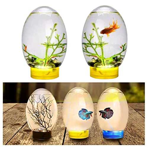 Mini Ecological Fish Tank with LED Base, Desktop Aquarium, Black Y7006