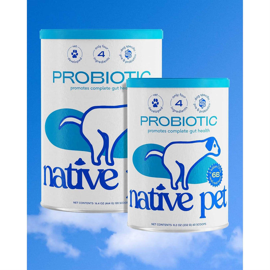 Native Pet Probiotic Powder Supplement for Dogs O99792