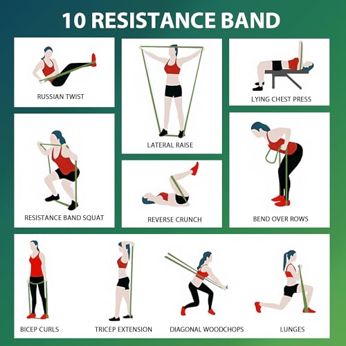LEEKEY Resistance Bands with Handles and Door Anchor for Home Workouts O73971