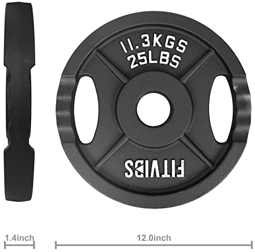 Olympic Cast Iron Weight Plates for Strength Training, Multiple Sizes S1890