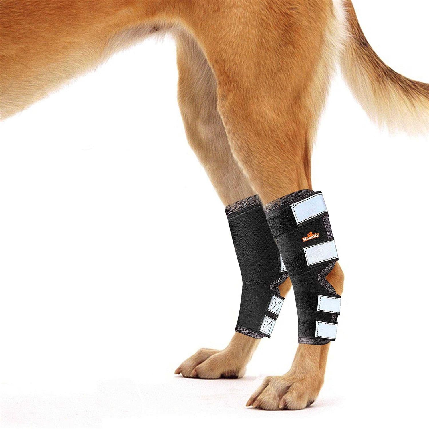 Neoally Dog Hind Leg Brace with Safety Reflective Straps Y76747