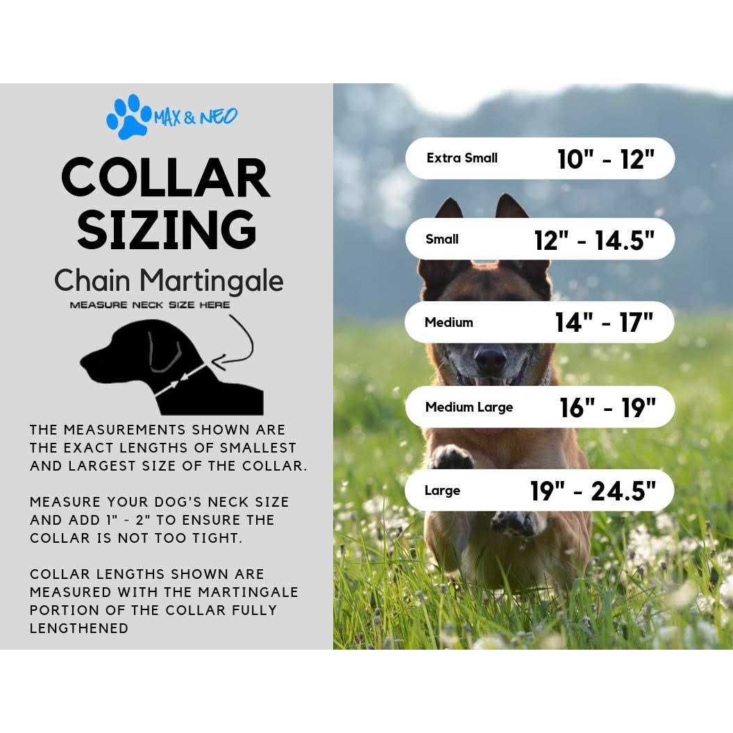 Max and Neo Stainless Steel Chain Martingale Collar U931299