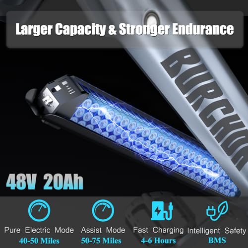 1000W Dual Motor Adults Electric Bike 48V 30Ah Fat Tire Ebike H2608