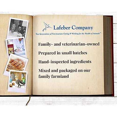 Lafeber Senior Bird Nutri Berries Parrot Food M61329