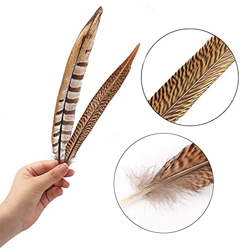 Flying Feathers Natural Pheasant Feathers 12pcs for DIY Craft Decor V9204
